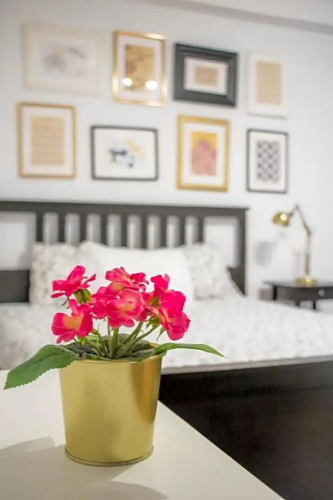 Travel & Live Porto Hostel