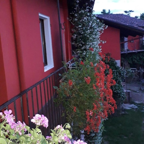 Standard Double room with garden view