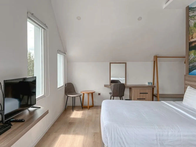 Deluxe Double room