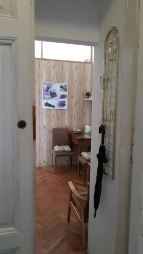 Studio Apartment Greis