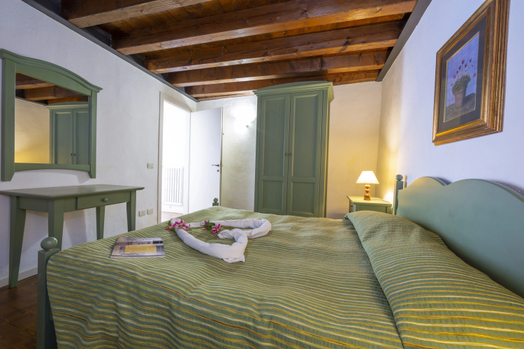 Orchidea Liano
