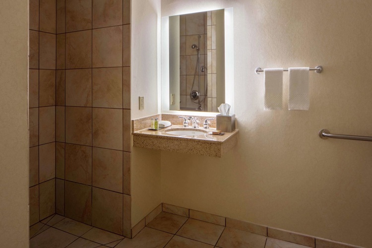 DoubleTree Suites by Hilton Hotel Minneapolis Downtown photo 9