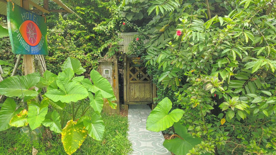 Ayahuasca