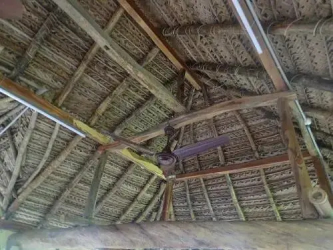 Paddy Homestay