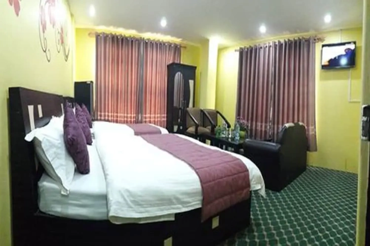 Deluxe Twin room with city view