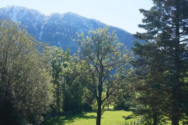Apartment Alpenpanorama