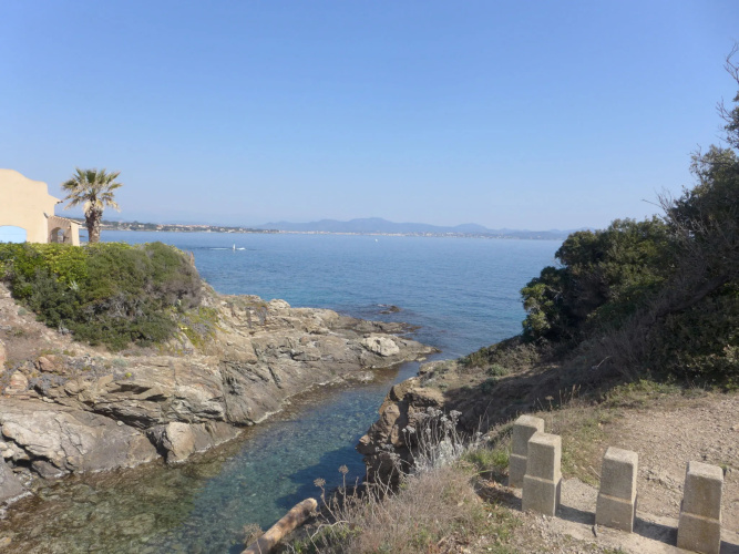 Chenou (LIS250)