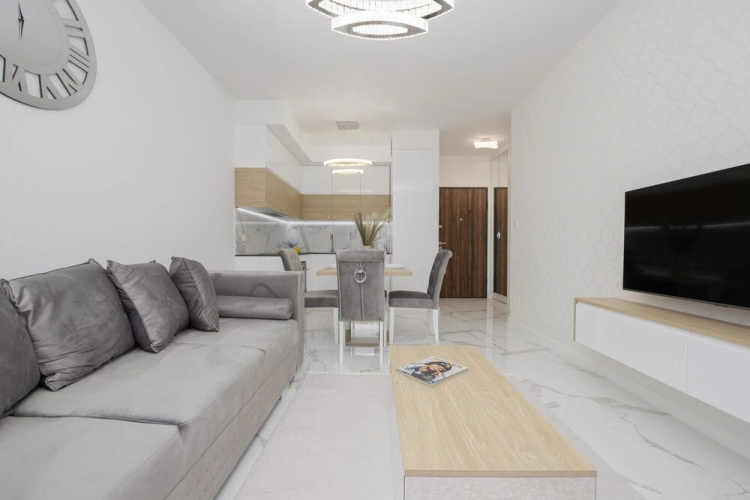 Luxurious Grey Apartment by Renters