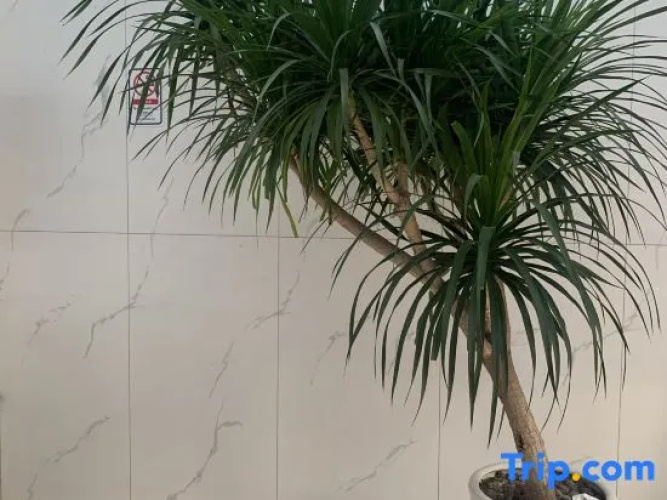 Xinyi Hotel