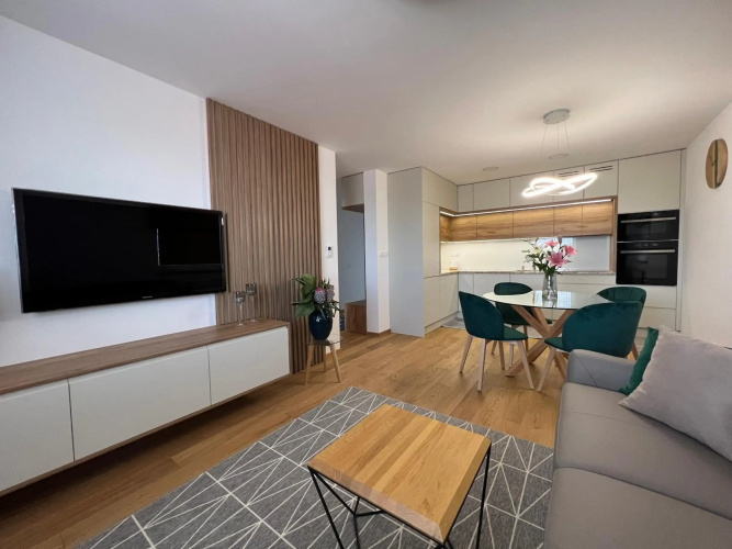 Downtown apartment Darinka