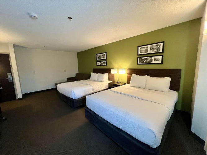 Quadruple Suite