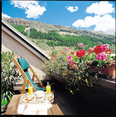 Standard Double room with balcony and with garden view