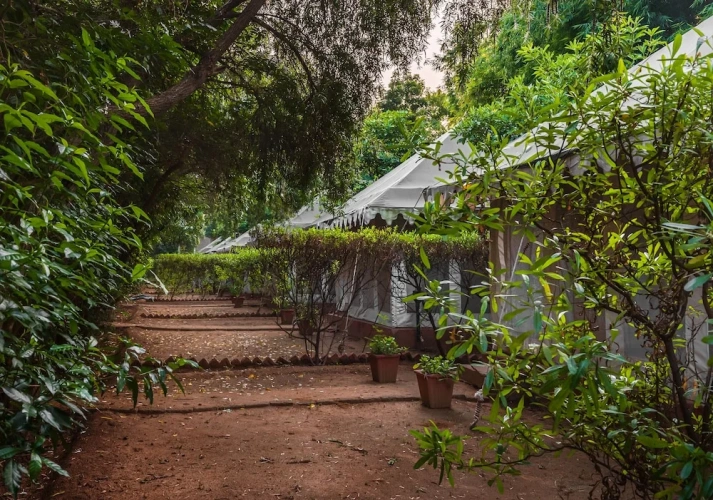 Tent with garden view