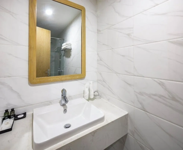 Deluxe Double room with balcony and with city view