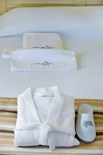 Standard Double room with balcony and with mountain view