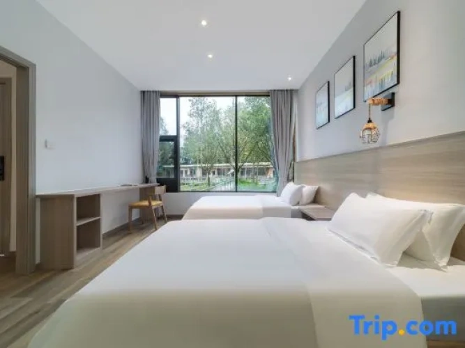 Twin Suite
