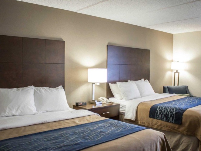 Standard Quadruple room