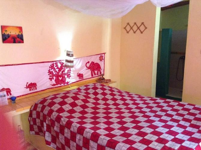 Baobab Belge