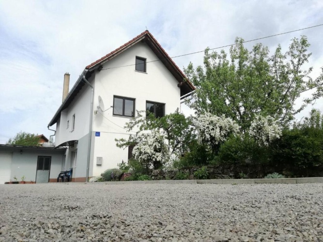 Basement Apartment with view