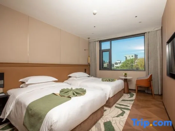 Twin Suite