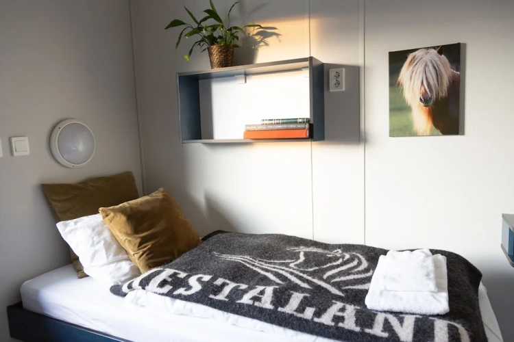 Standard Single room with mountain view