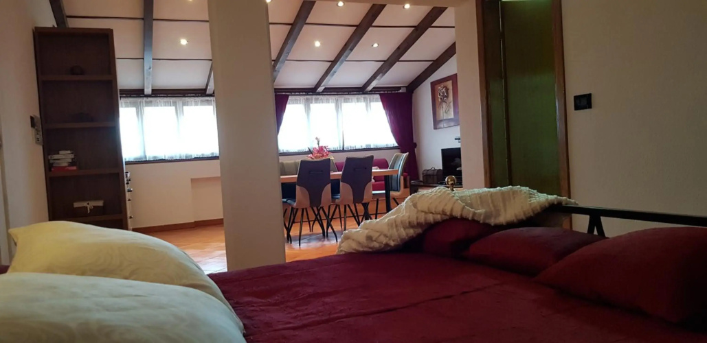 Apartmens Alenka