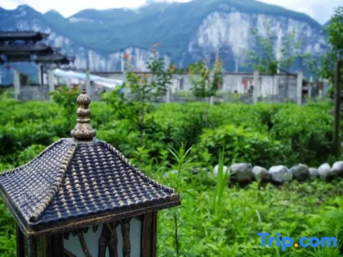 Selenium Tea Ecological Garden
