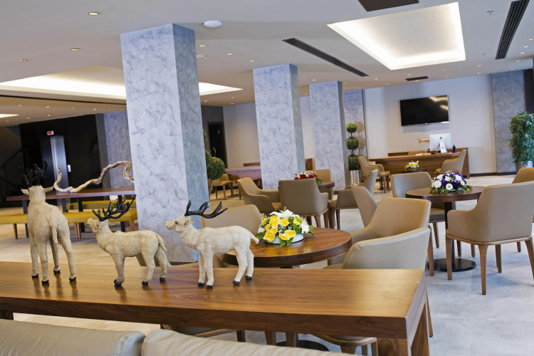 Фотография отеля