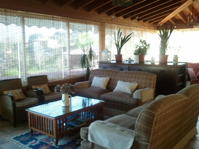 Standard Triple room with pool view