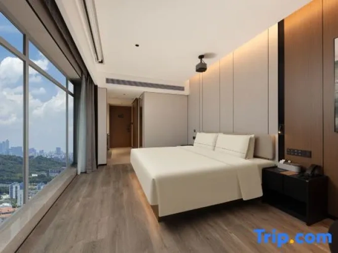 Standard Double room with city view