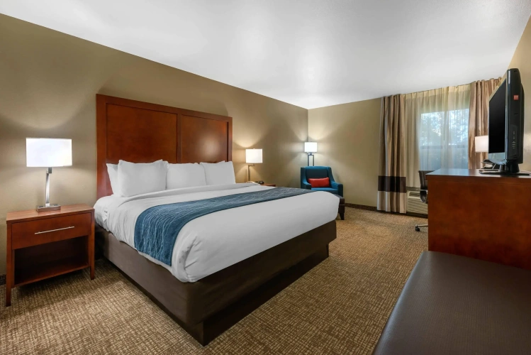 Standard Double room