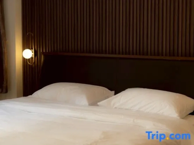 1 Bedroom Suite