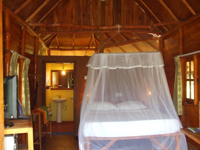 Standard Double Family room