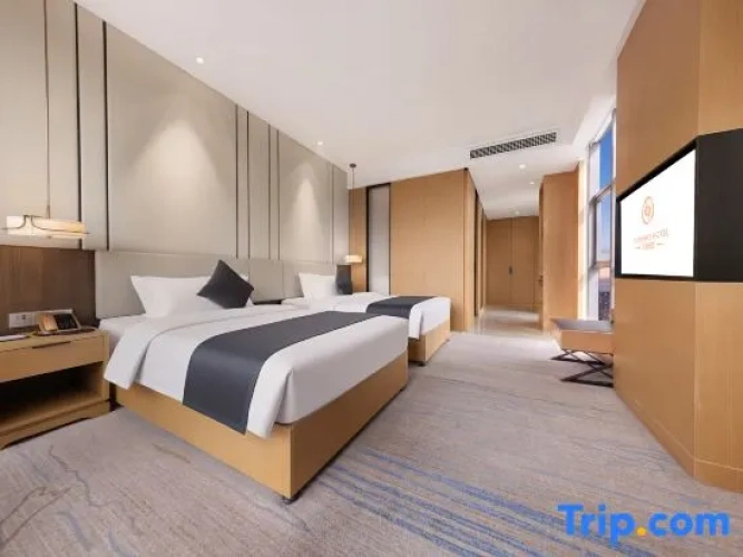Executive Twin room with city view