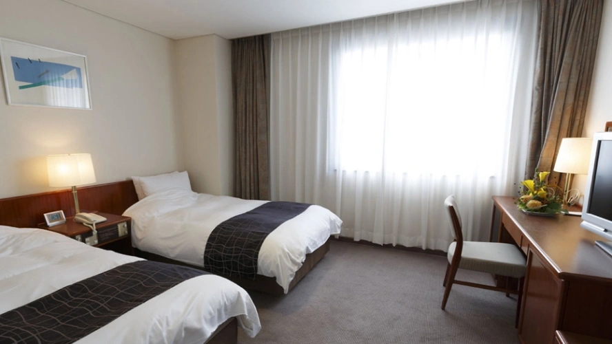 Standard Twin room with city view