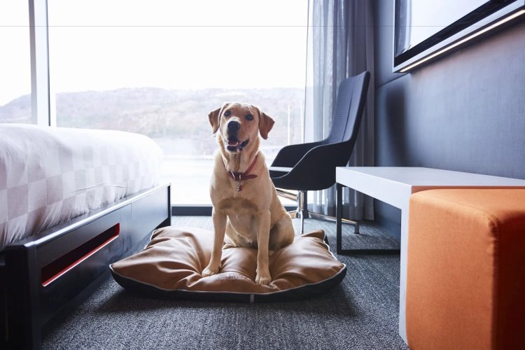 Alt Hotel St. John's