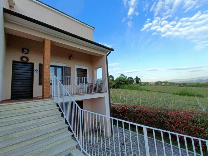 1 Bedroom Apartment with view