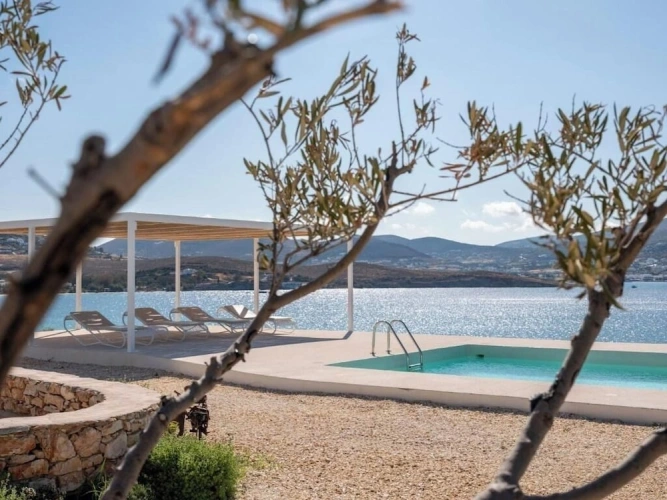 Comfort Double Studio with pool view