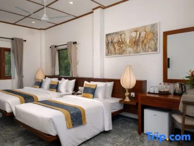 Deluxe Triple room