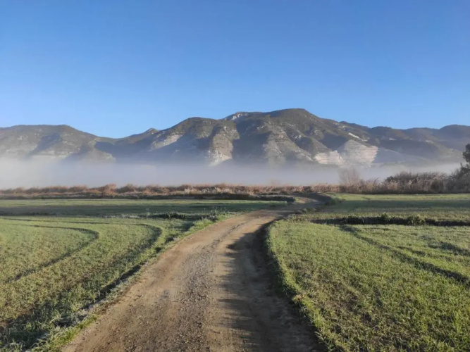 Finca bellas vistas
