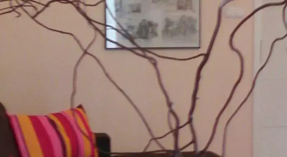 Locativus Świdnicka