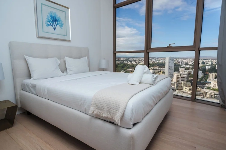 Luxury Apartment