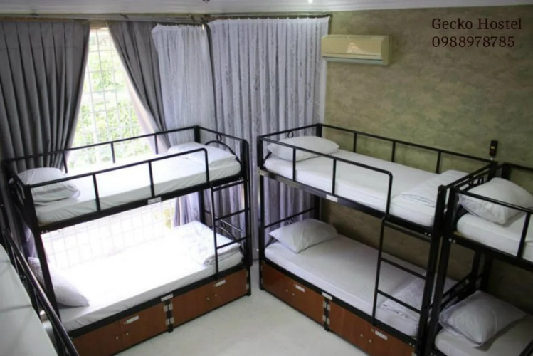 Gecko Hostel