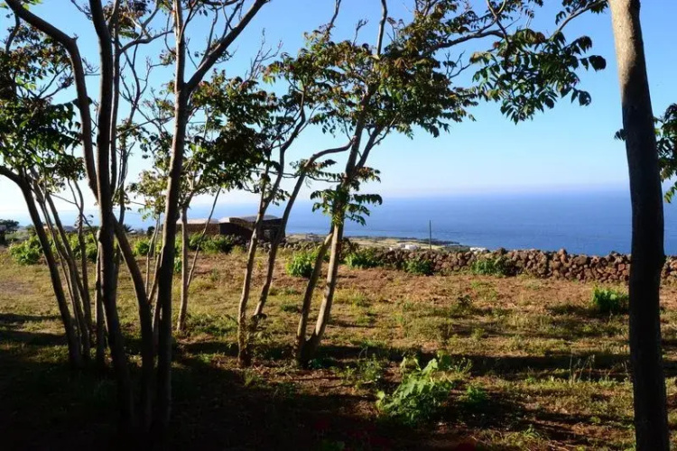 Dammuso Campobello