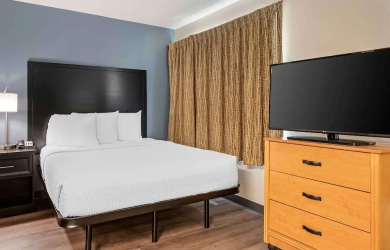 1 Bedroom Suite