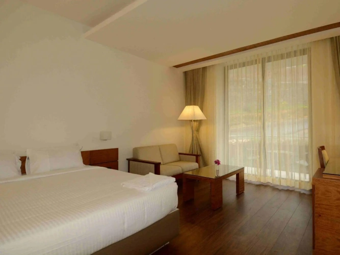 Deluxe Double room with garden view