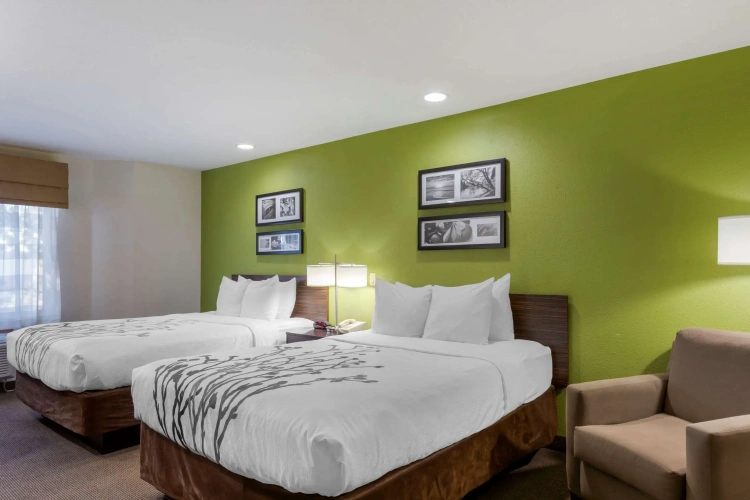 Quadruple Suite