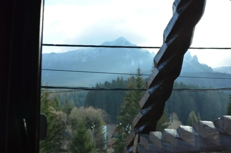 Standard Double room with mountain view