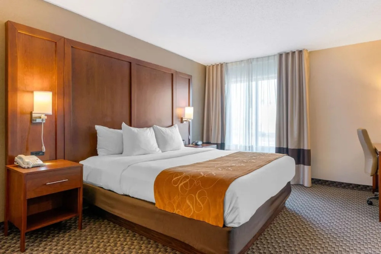 Comfort Suites South Haven Area