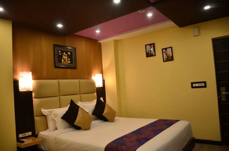 Dolphin Chocolate Inn